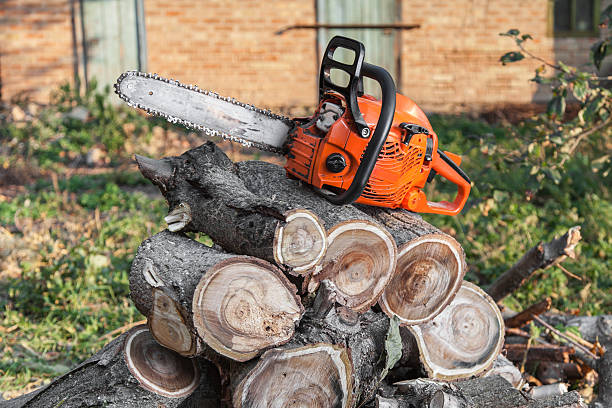 Tree Service Company in Orion, IL